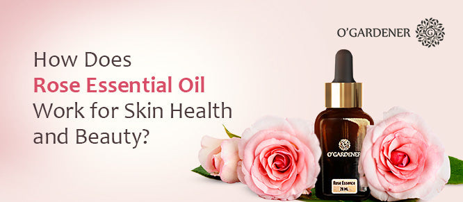 rose essential oil