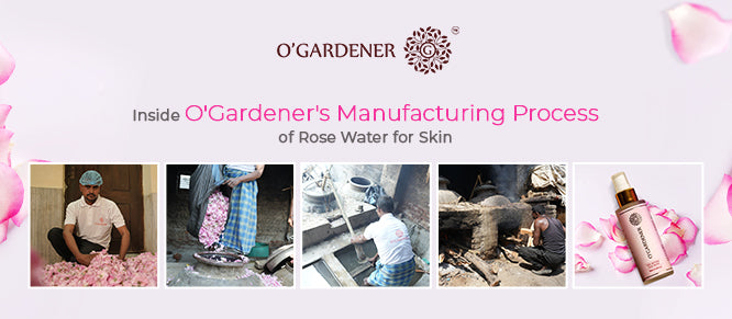 rose water for skin