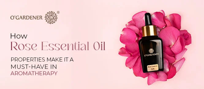 rose essential oil properties