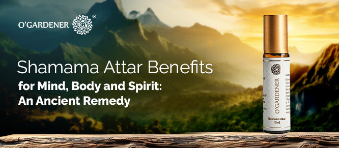 Shamama Attar Benefits for Mind, Body, and Spirit: An Ancient Remedy