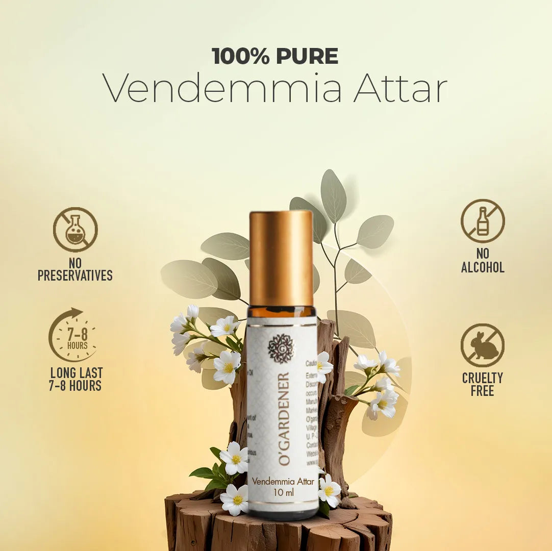 Vendemmia Attar