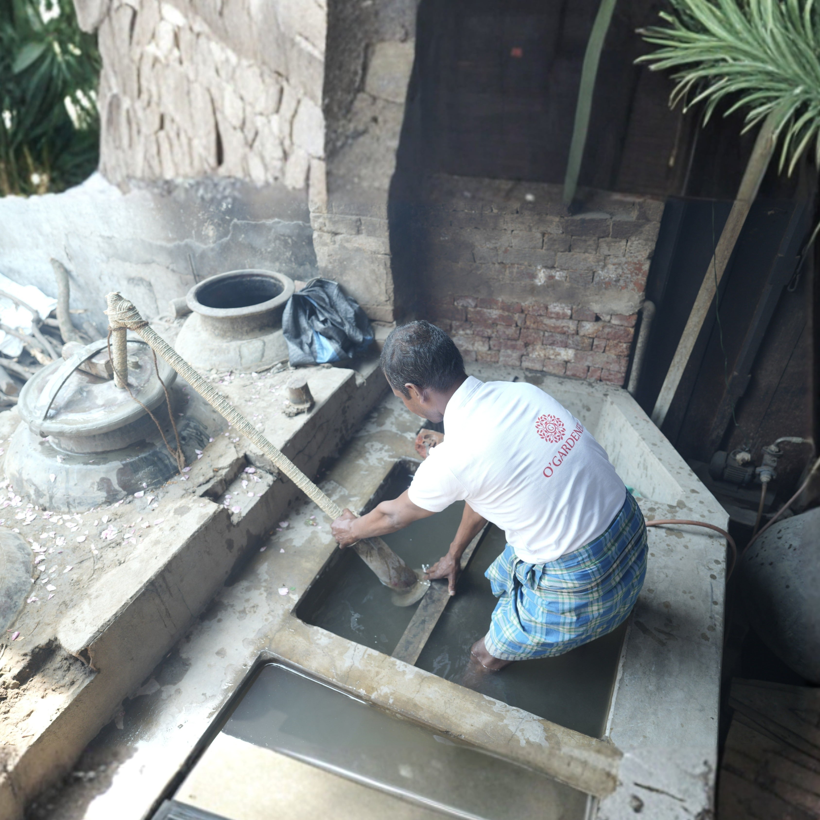 Edible Marigold Water (Calendula Hydrosol) (Glass Bottle Spray)