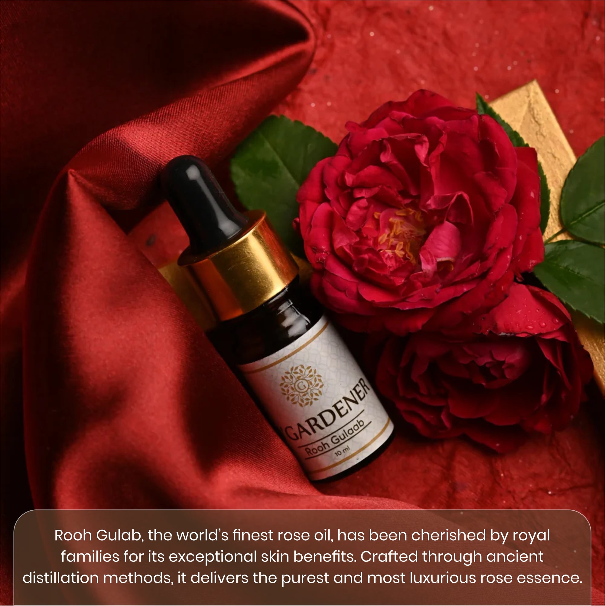 100% original Rooh Gulab/ Absolute (10 Gm) Concentrated Oil