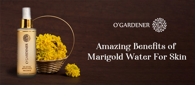 Experience Radiant Bliss as Marigold Water’s Gift to Your Skin
