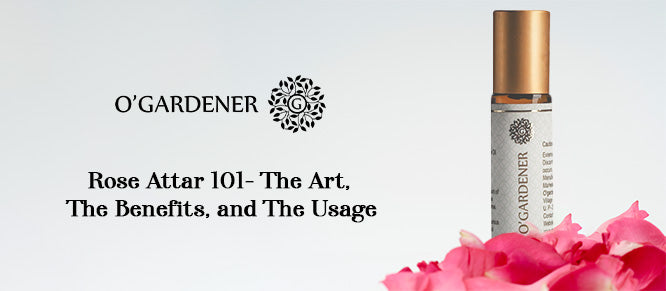Rose Attar 101- The Art, The Benefits, and The Usage