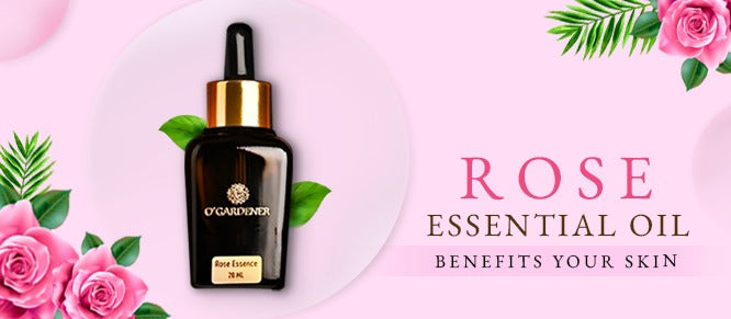 How Rose Essential Oil Benefits Your Skin