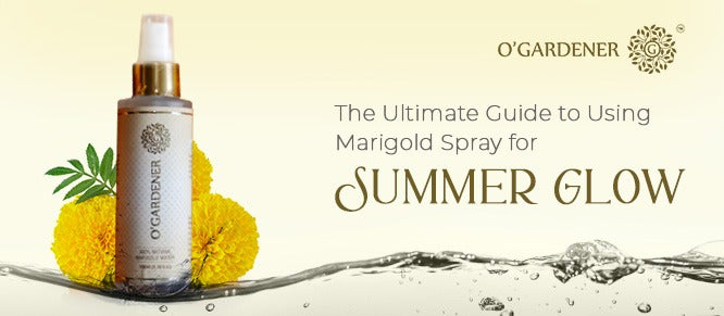 The Ultimate Guide to Using Marigold Spray for Summer Glow