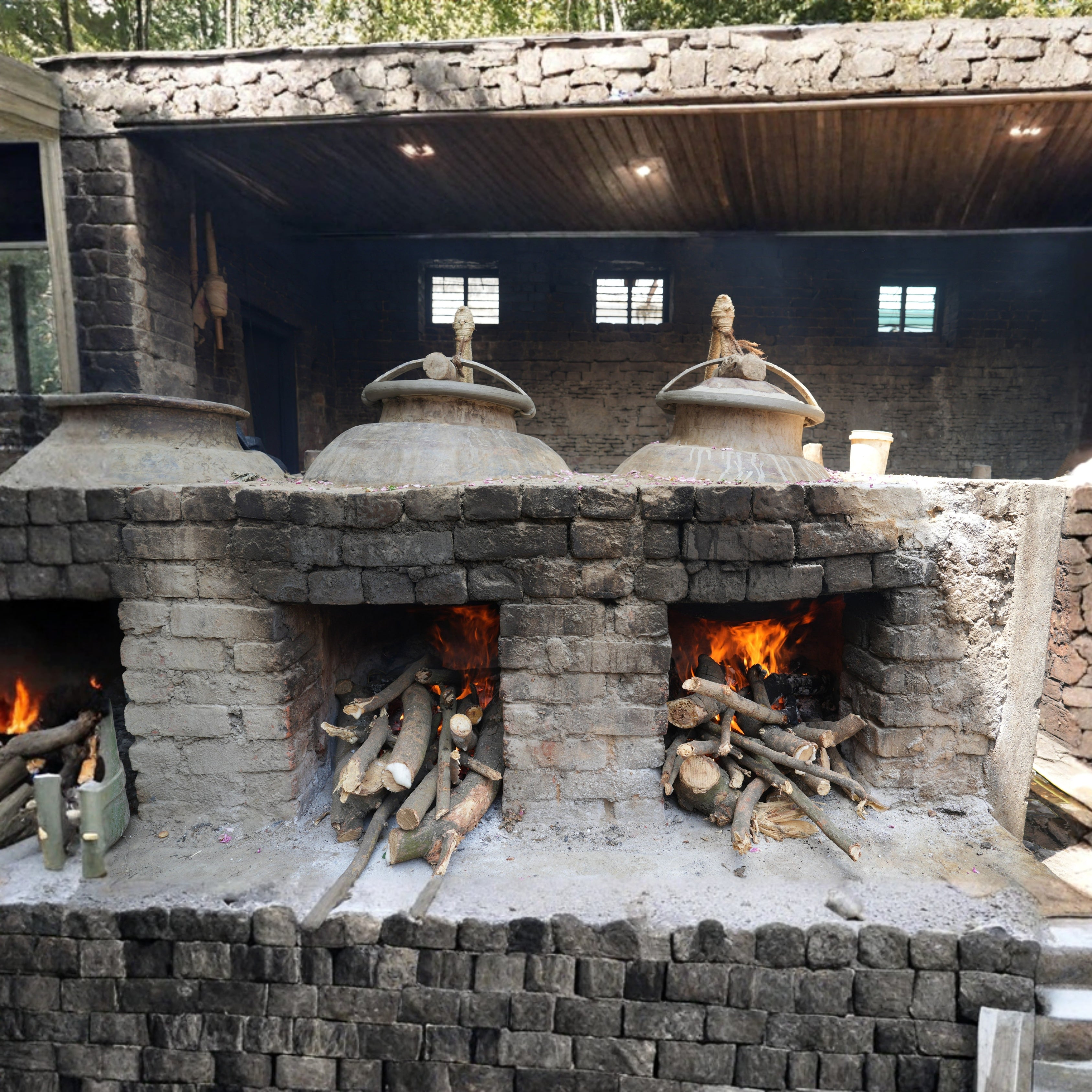 Jasmine Water/ Mogra Water – Travel Pack – 100 Ml (Plastic bottle)