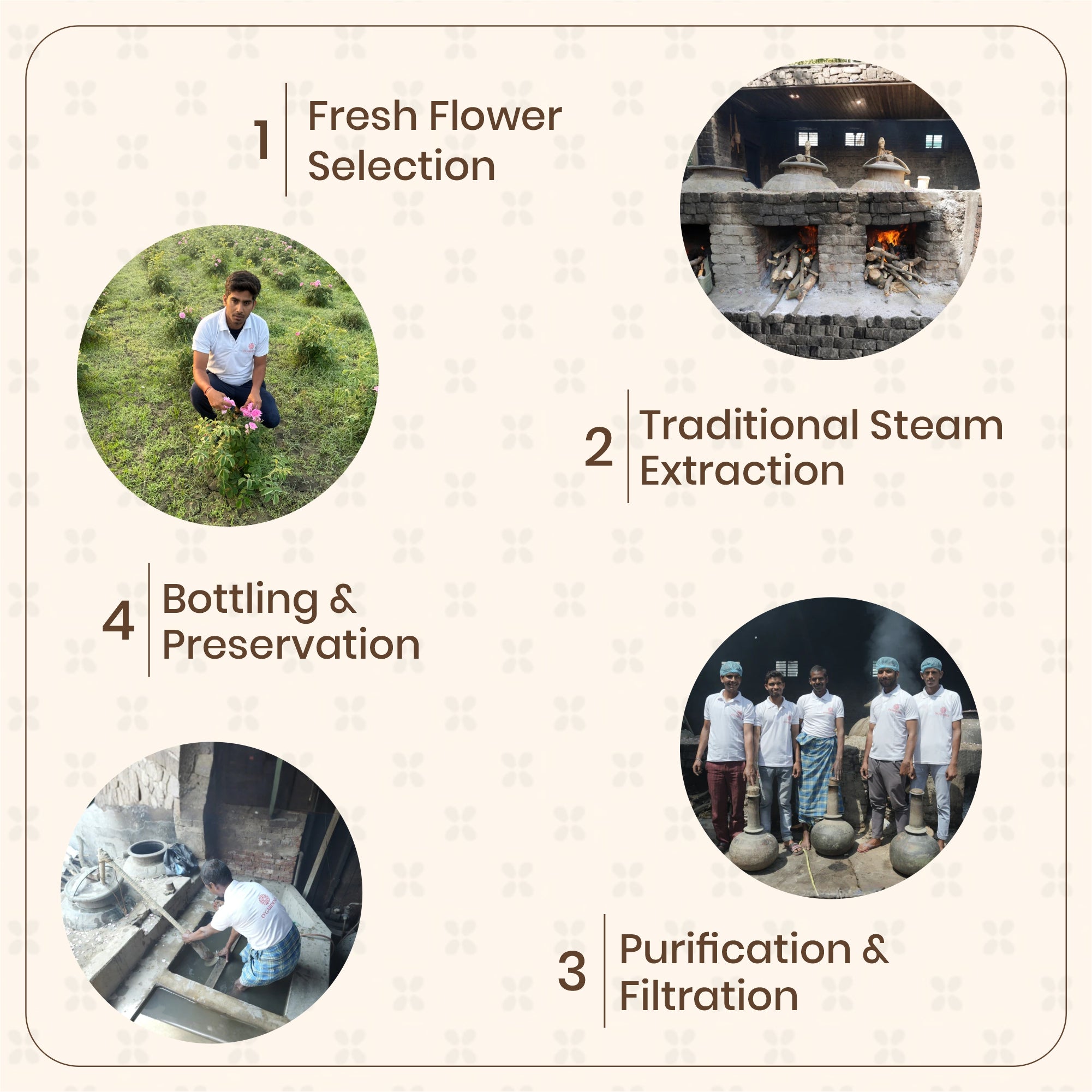 Rose Essential Oil/Rose Essence