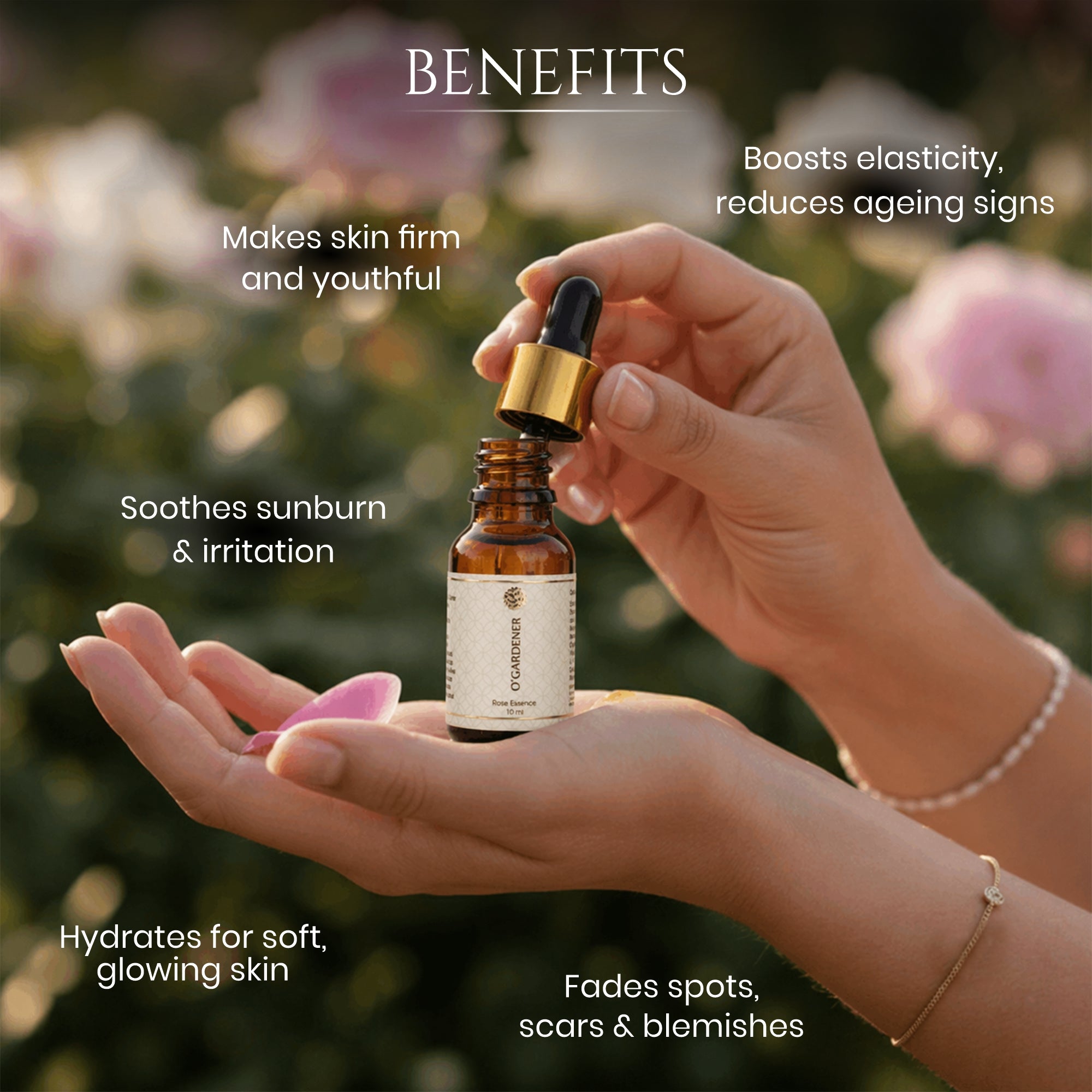 Rose Essential Oil/Rose Essence