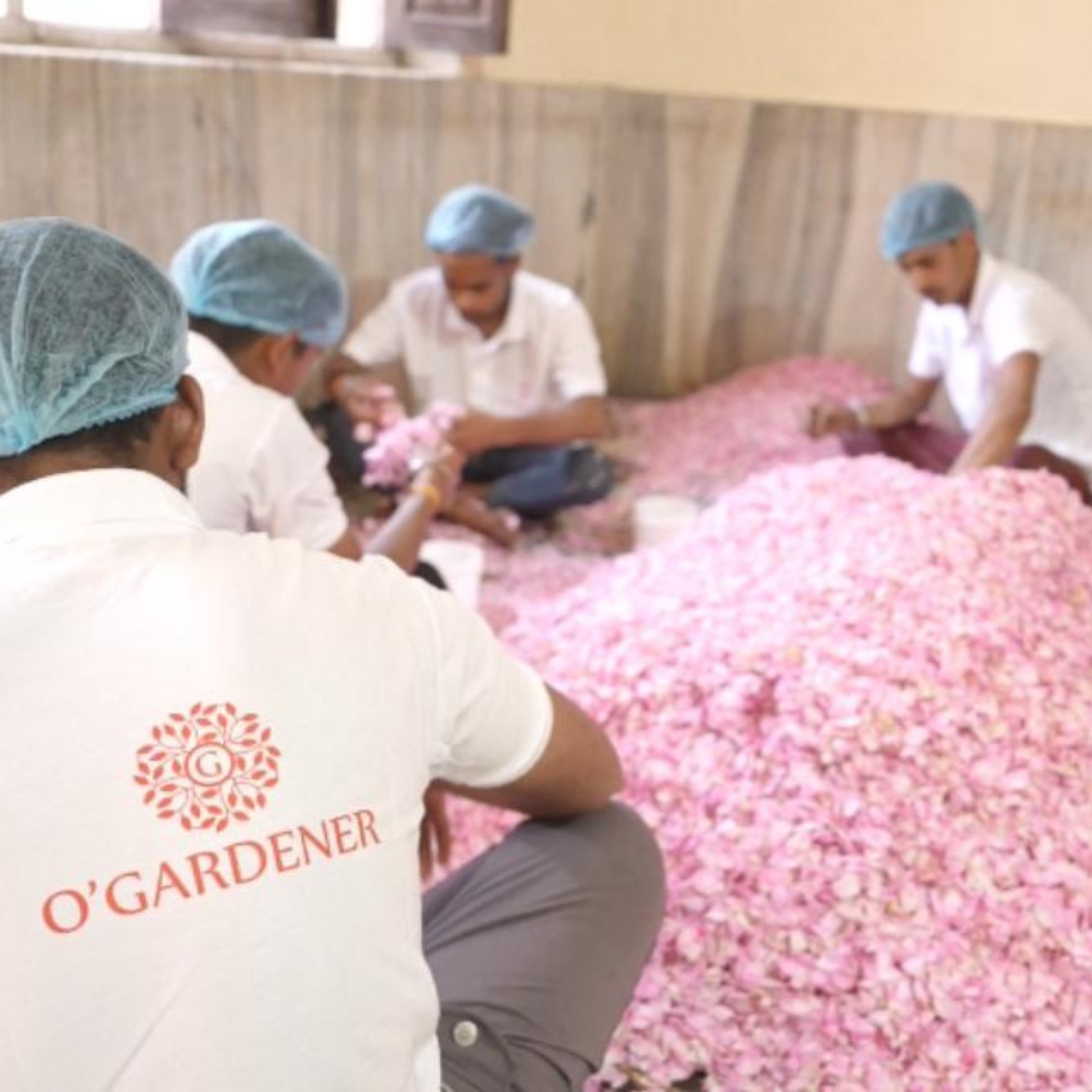 Edible Rose Water (Glass Bottle Spray)